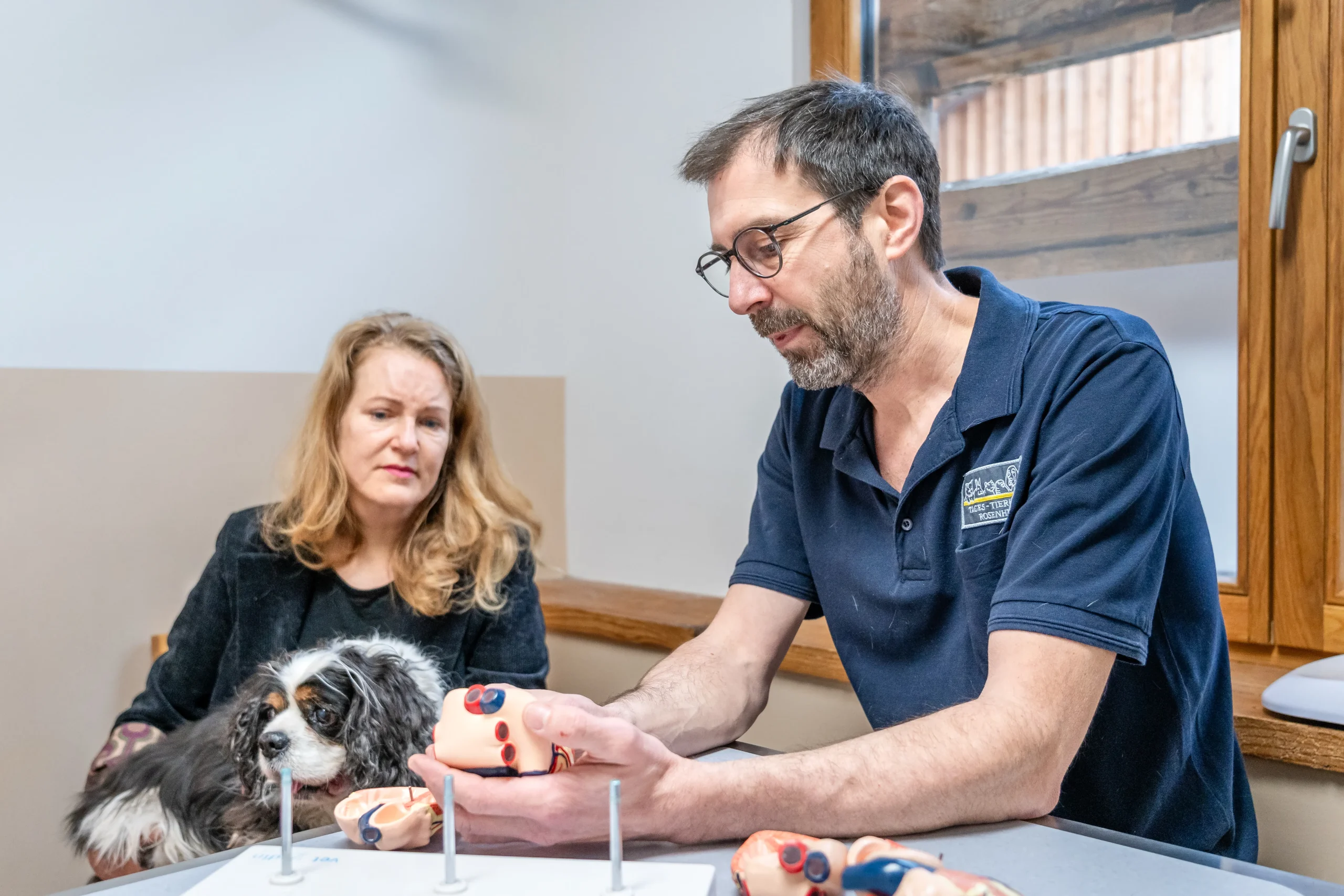Tierarzt erklärt einer Tierhalterin mit Hund ein Herzmodell im Rahmen einer internistischen Beratung.