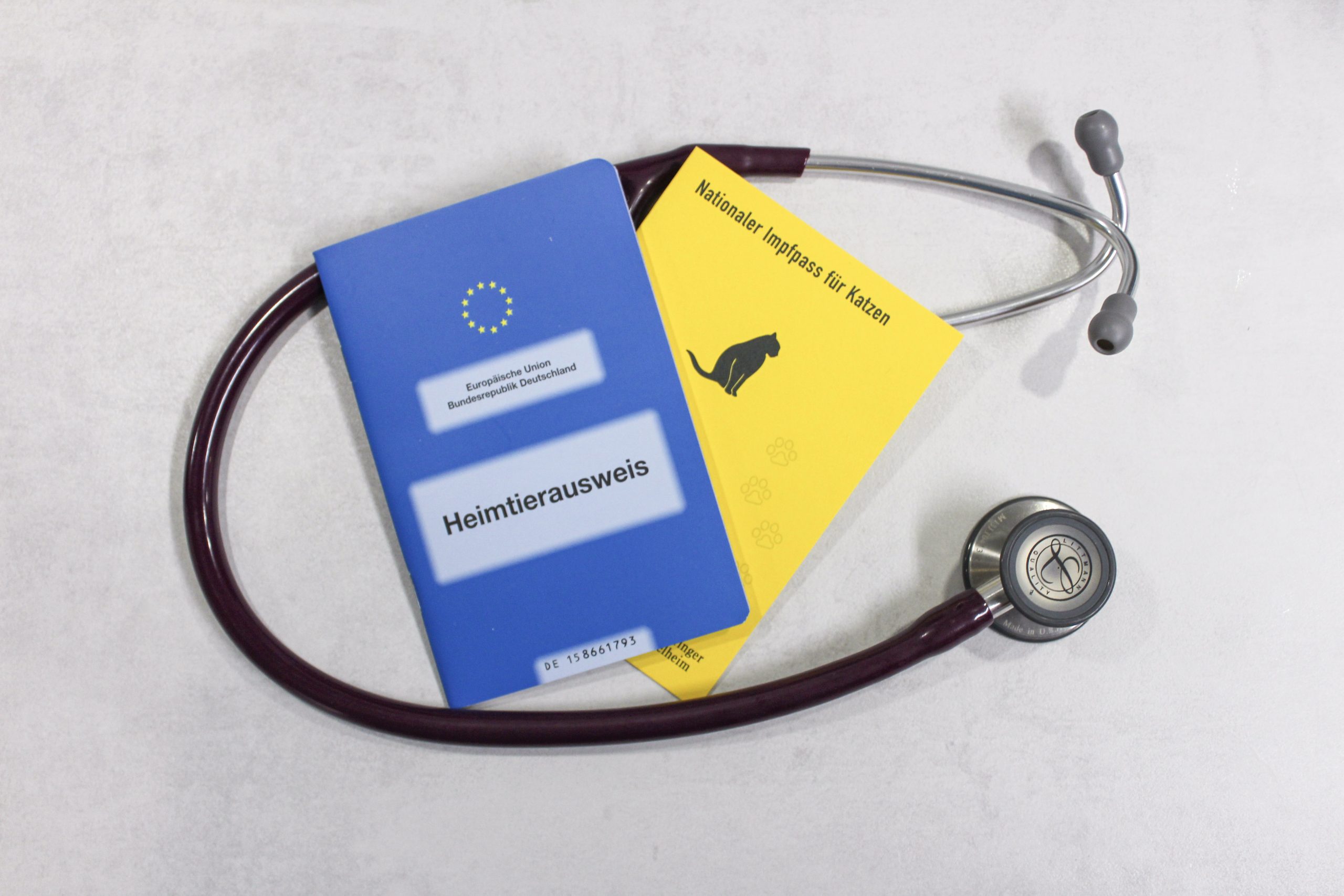 Dokumente zur tierärztlichen Vorsorge und ein Stethoskop, stellvertretend für die Allgemeinmedizin.