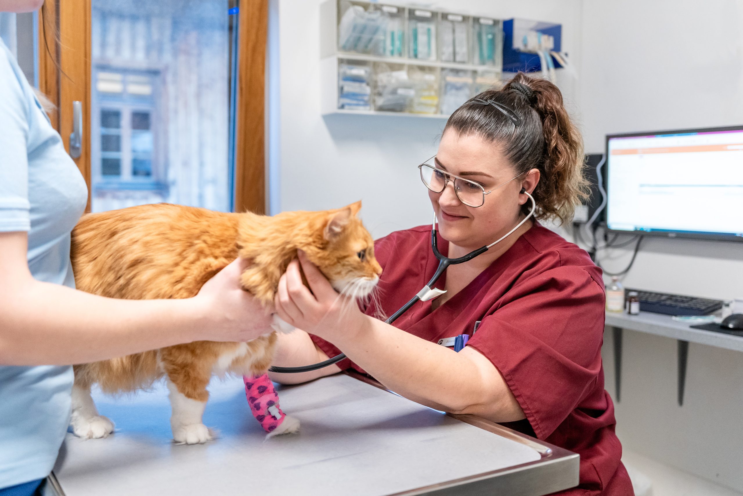 Tierärztin untersucht eine orangefarbene Katze auf dem Behandlungstisch.
